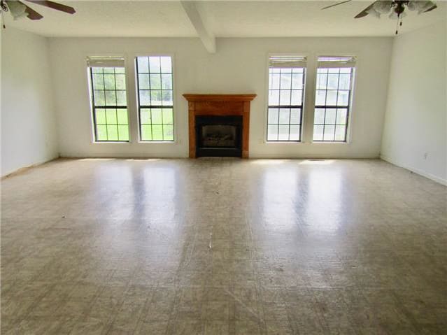 61 Looney Loop photo