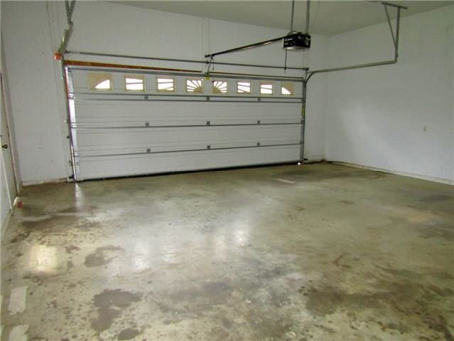 61 Looney Loop photo