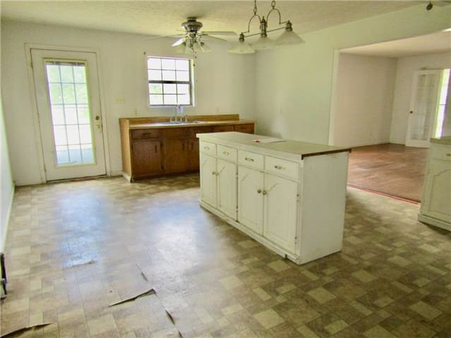 61 Looney Loop photo