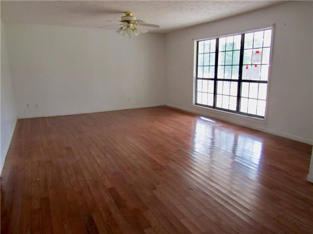 61 Looney Loop photo