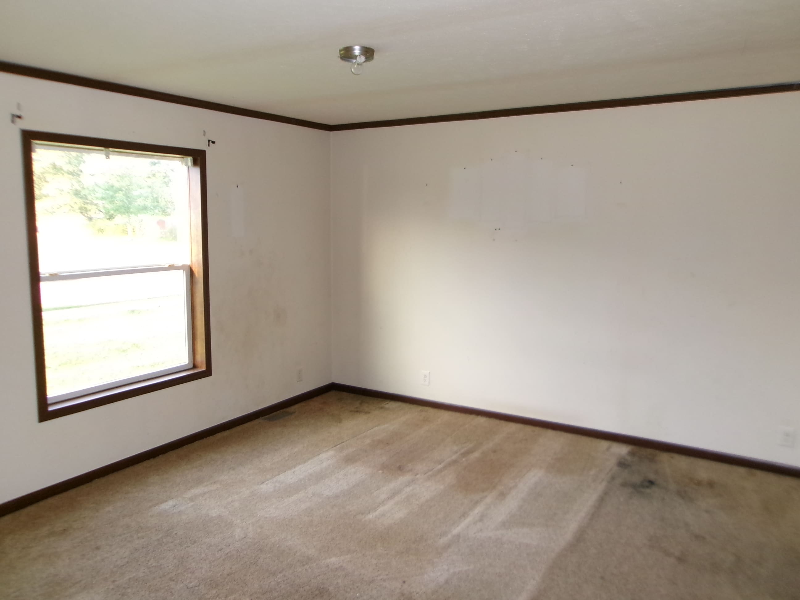 45 Blue Jay Cir photo