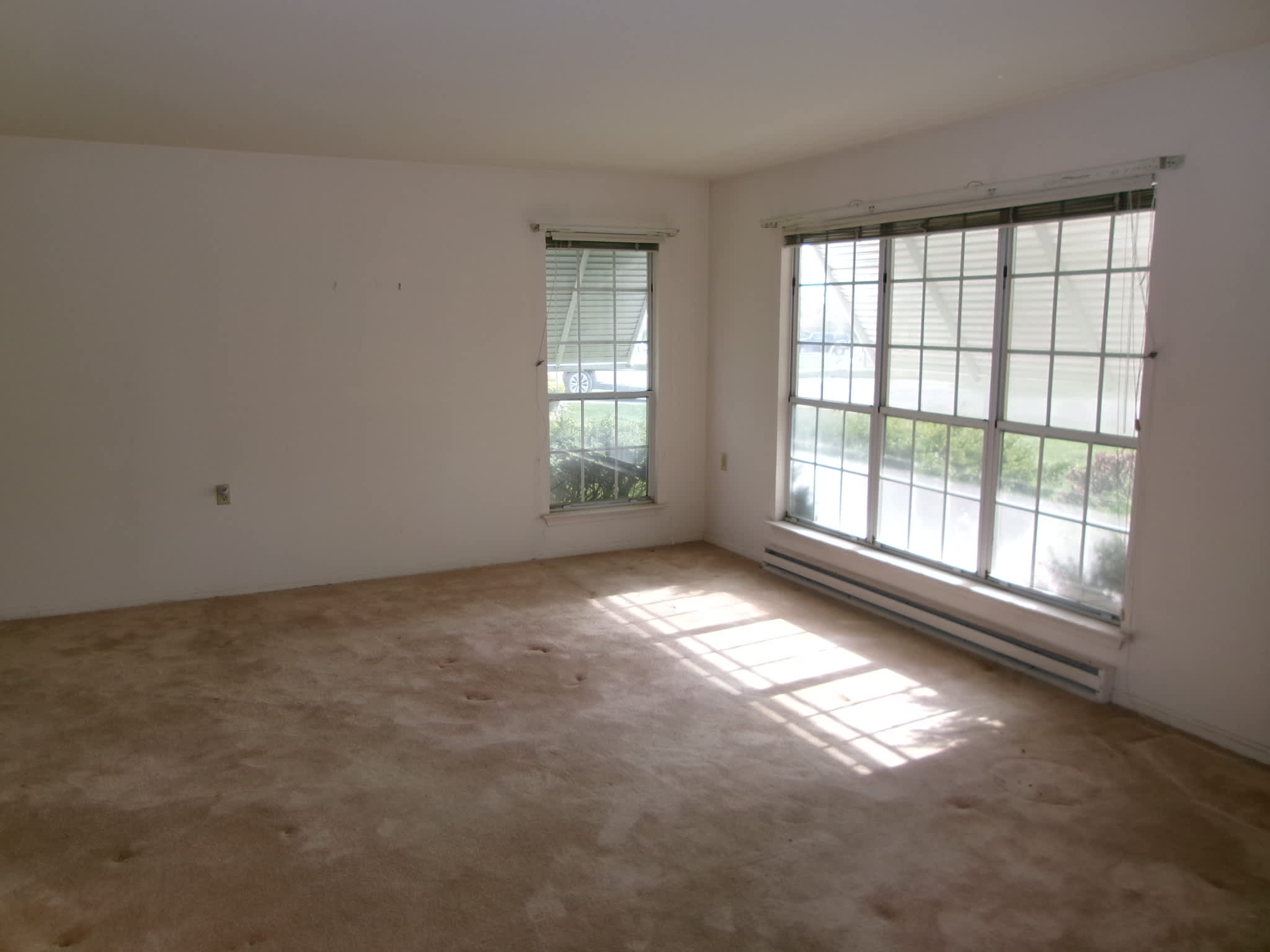 6 Harrow Pl photo