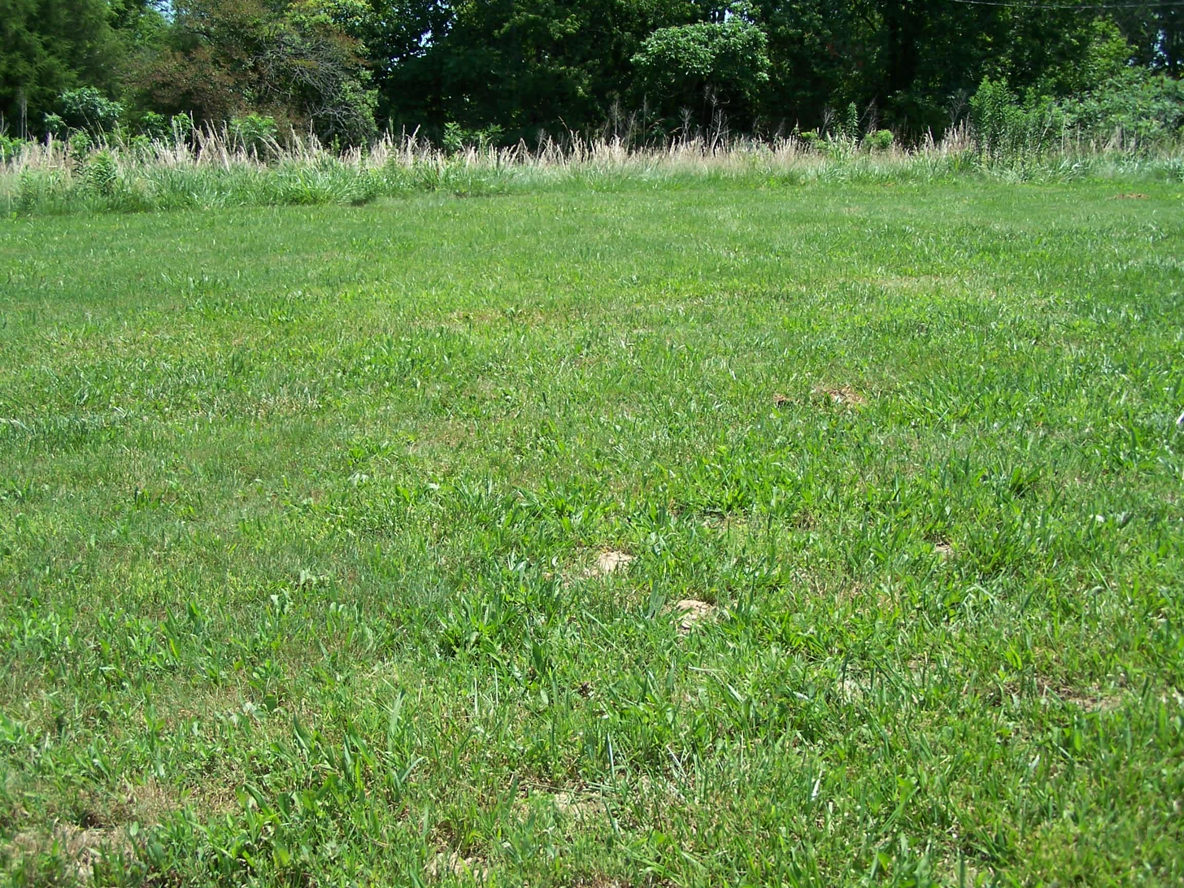 269 Bethel Cemetery Rd photo
