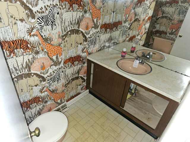 8128 Cedar Rd photo