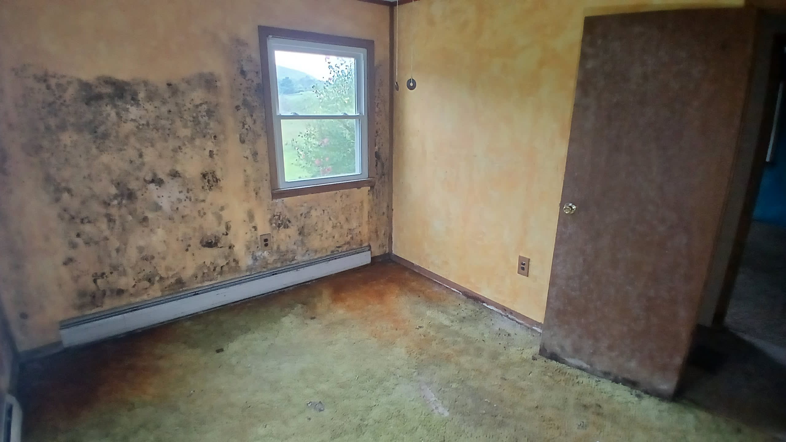 1373 Round Top Rd photo