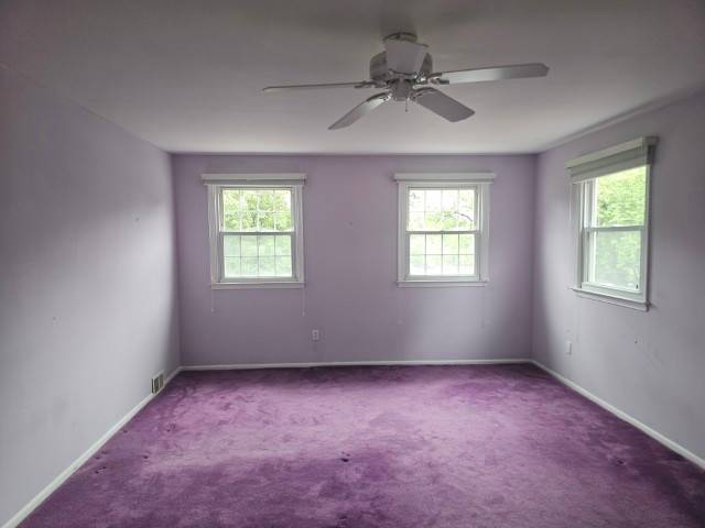 11 Azalea Cir photo