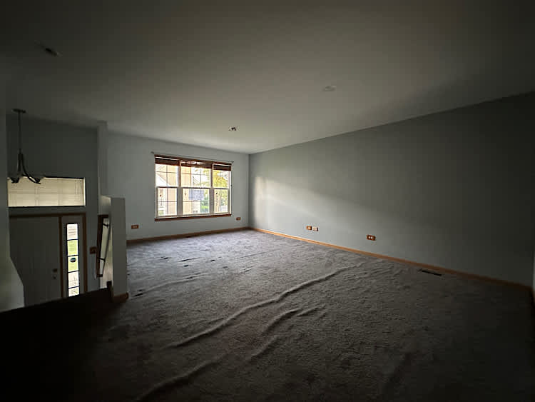 536 Meadow Lily Dr photo