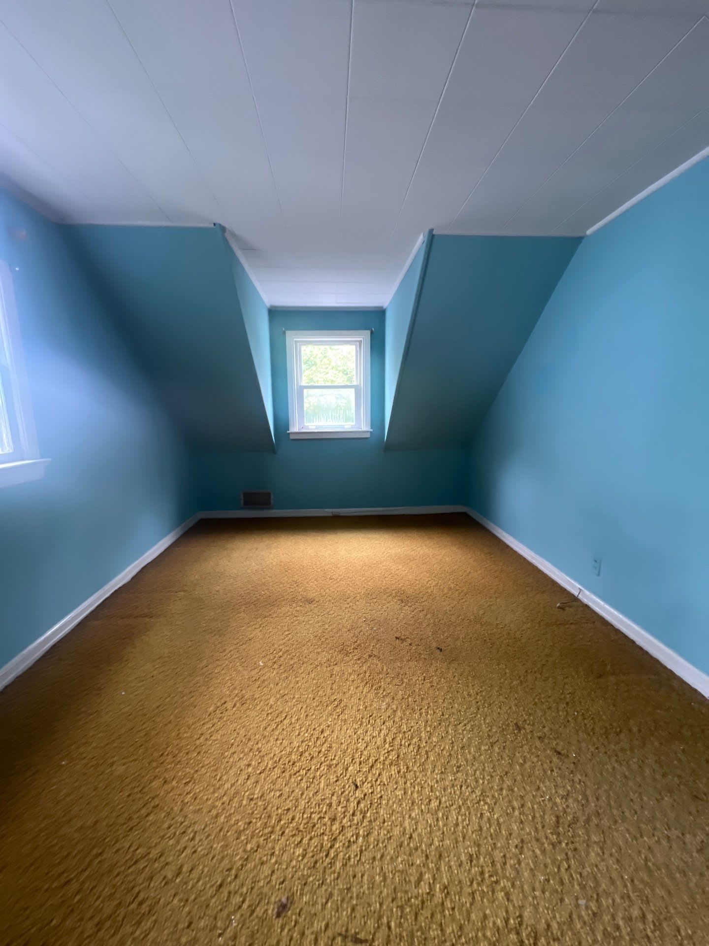 18 Shelly Ct photo