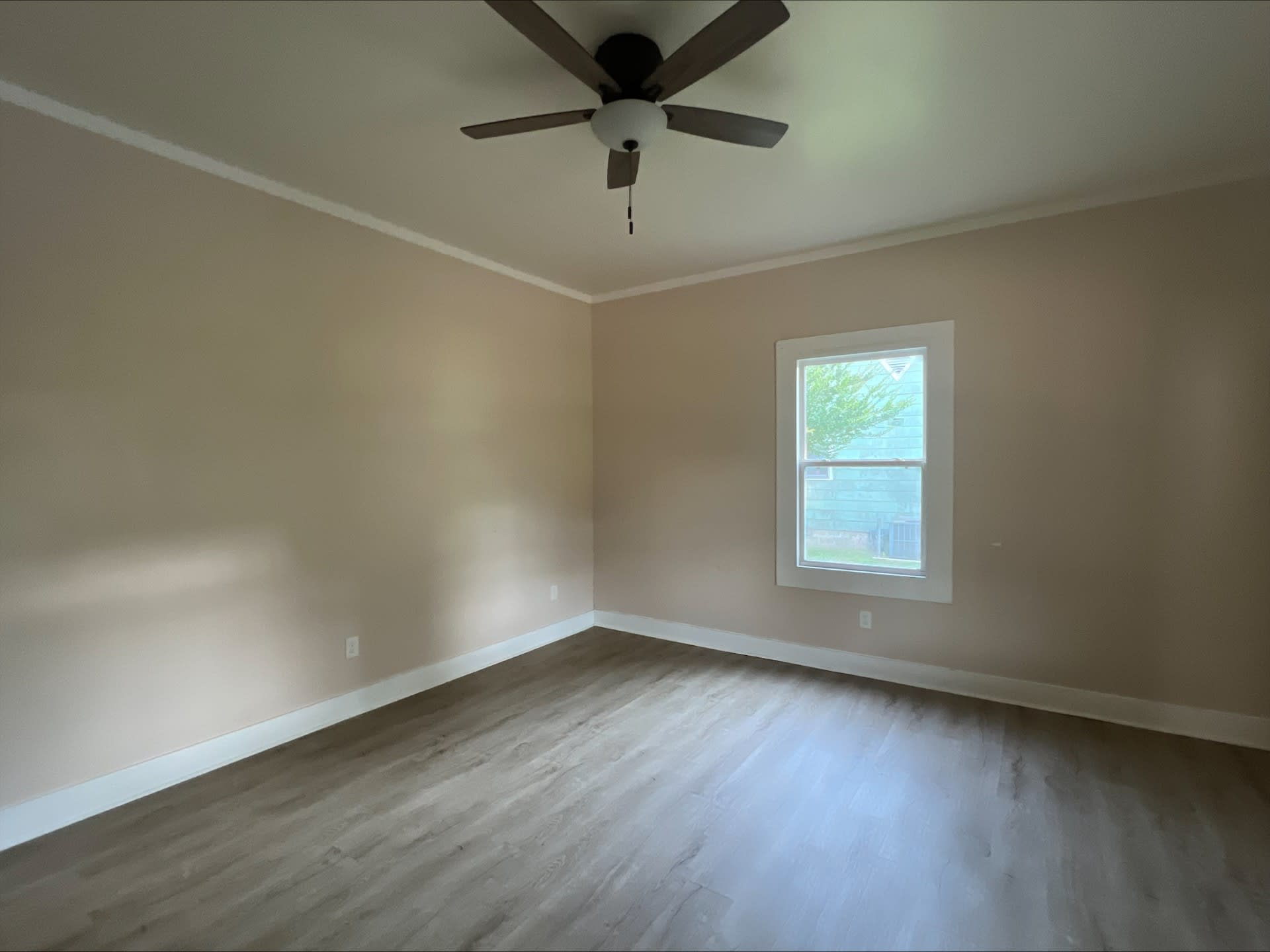 114 Shirley Street photo