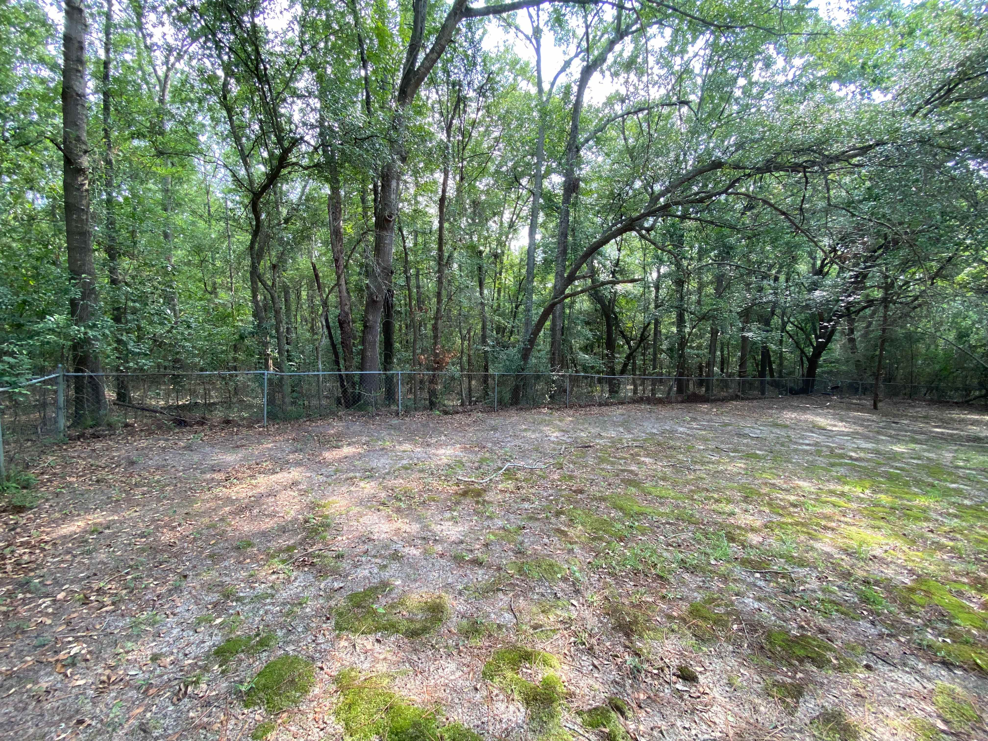 1381 Shannon St photo