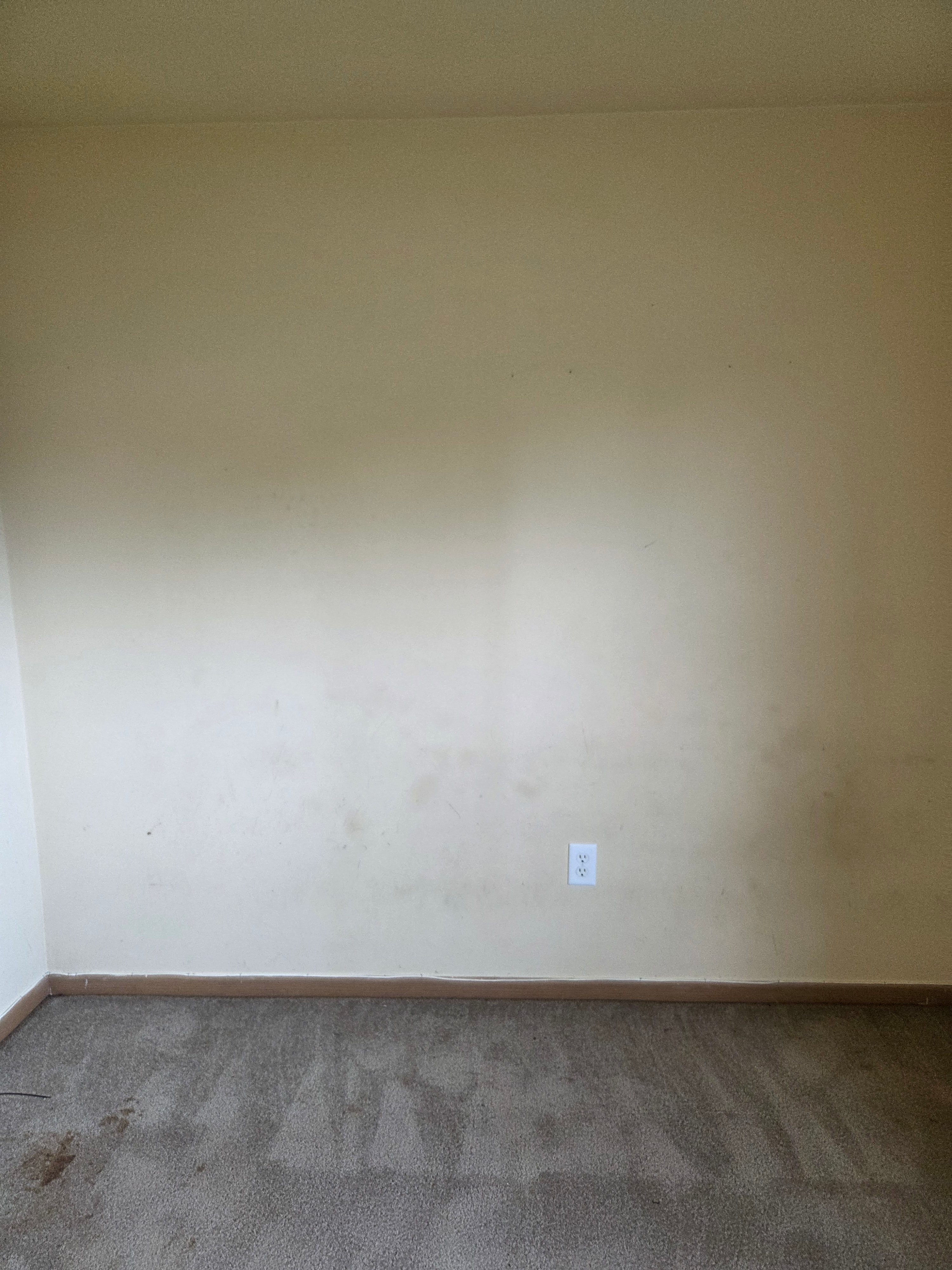 77 Fulton St photo