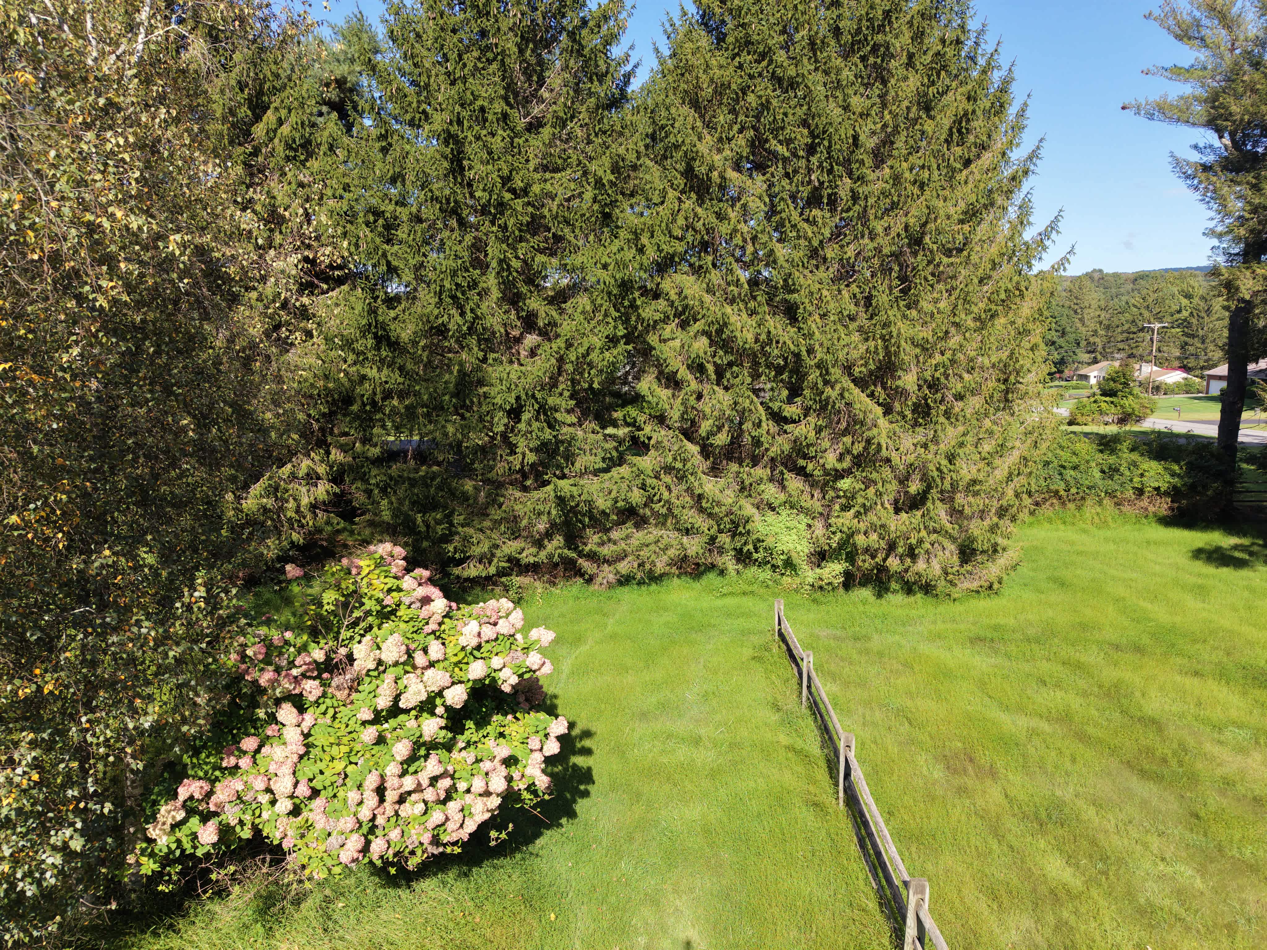 9 Brantwood Ter photo