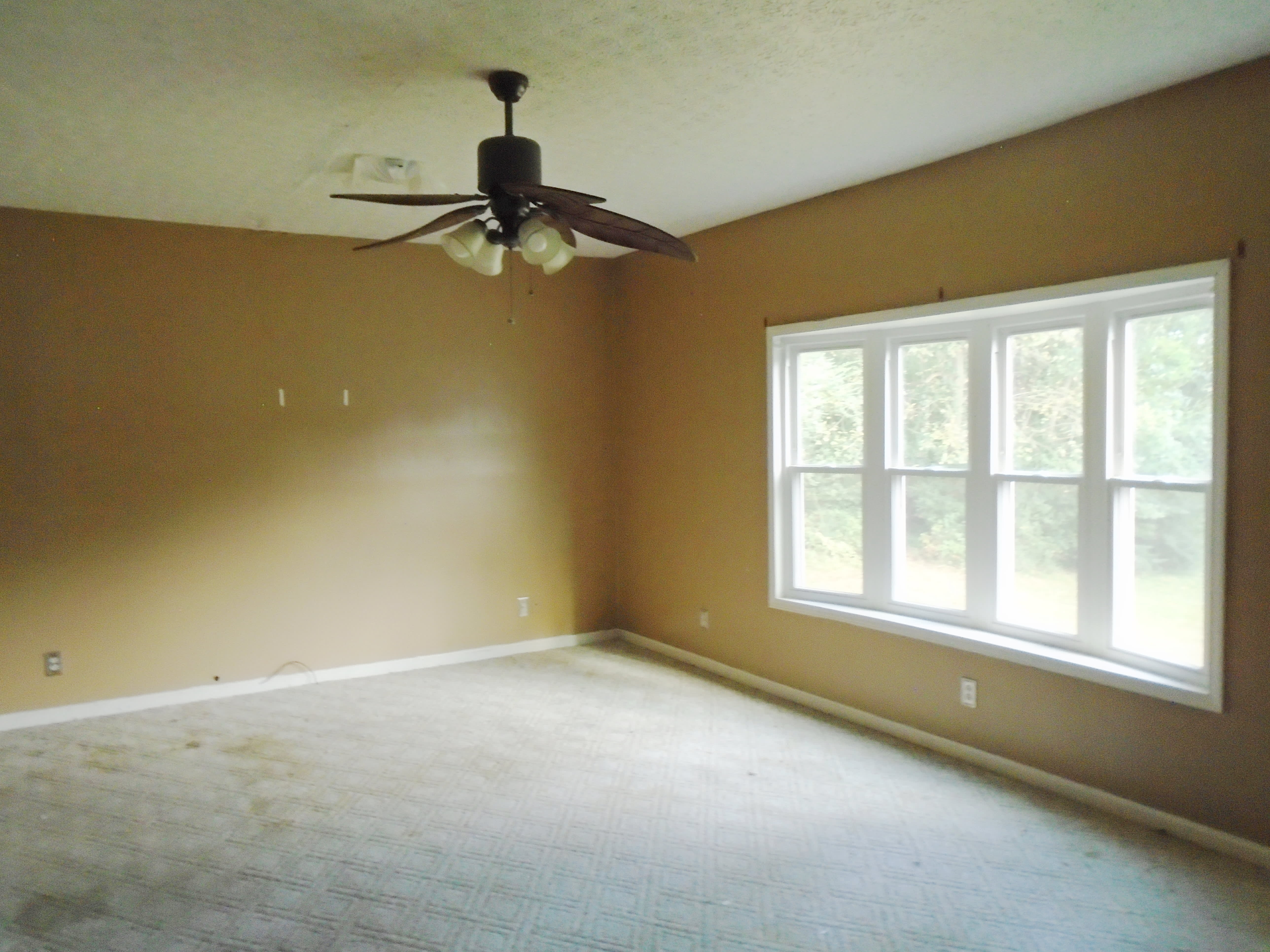 406 Walnut St photo