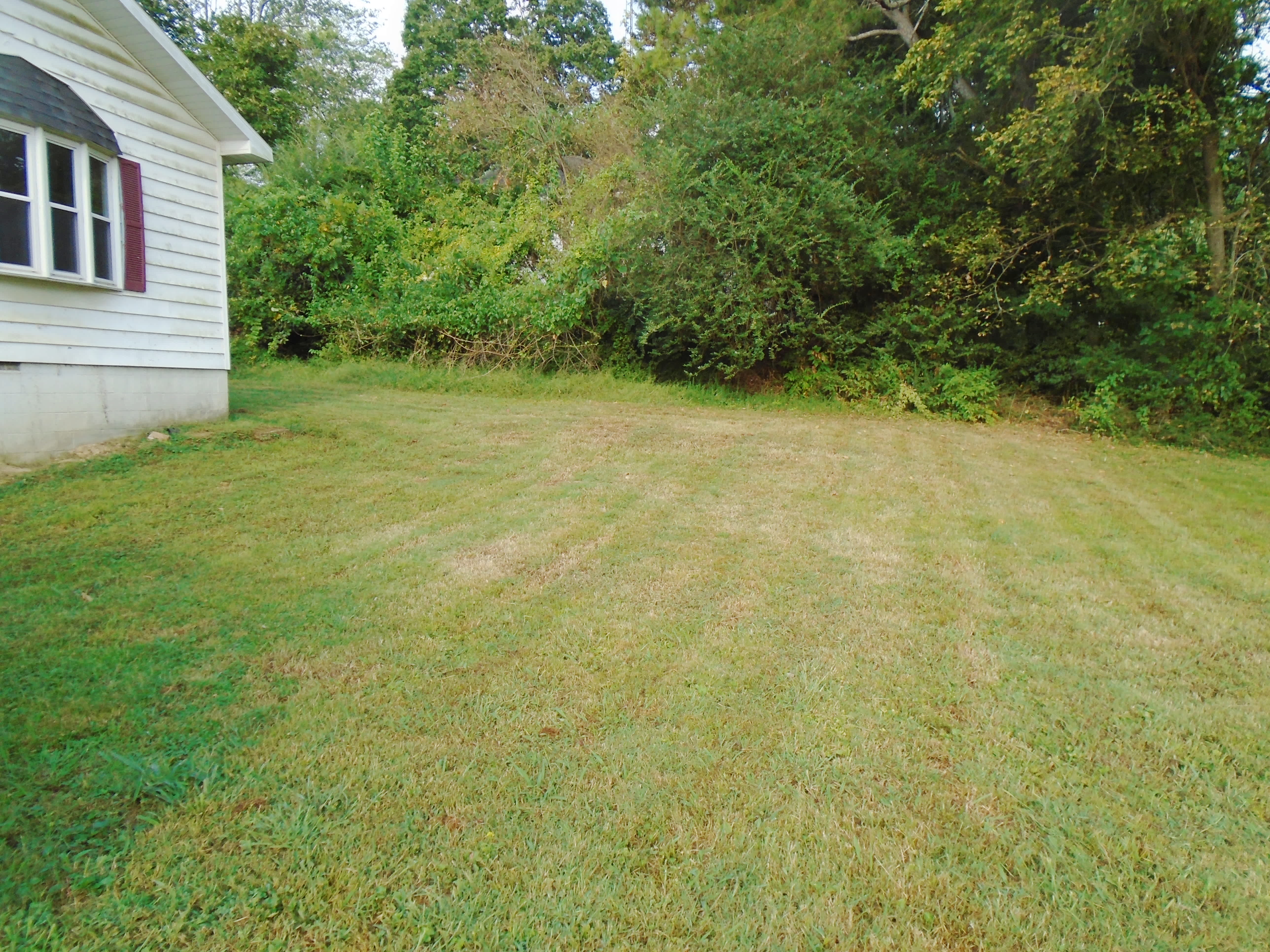 406 Walnut St photo