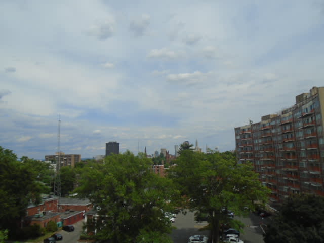 31 Woodland St 9l photo