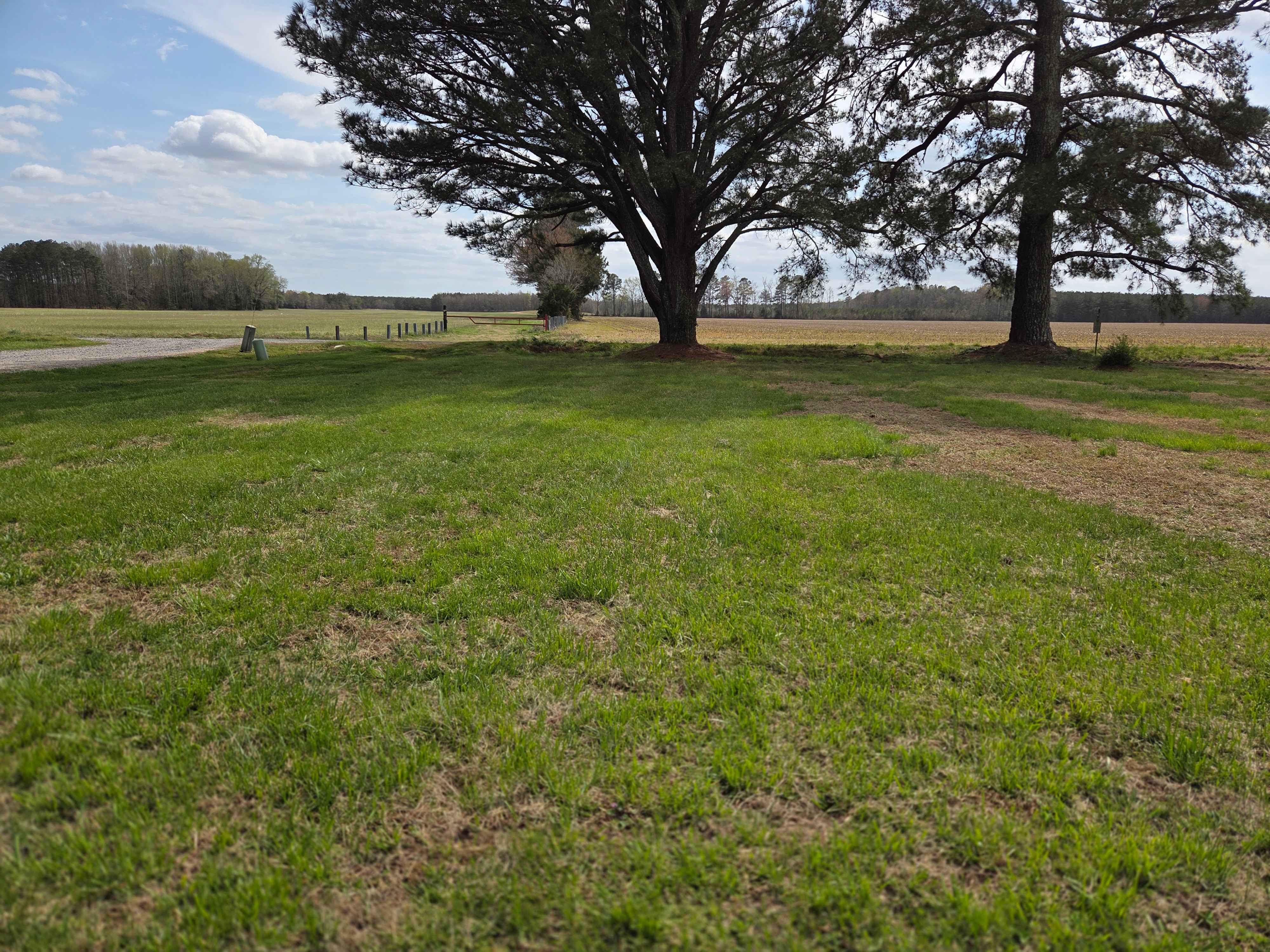 14035 Foursquare Rd photo