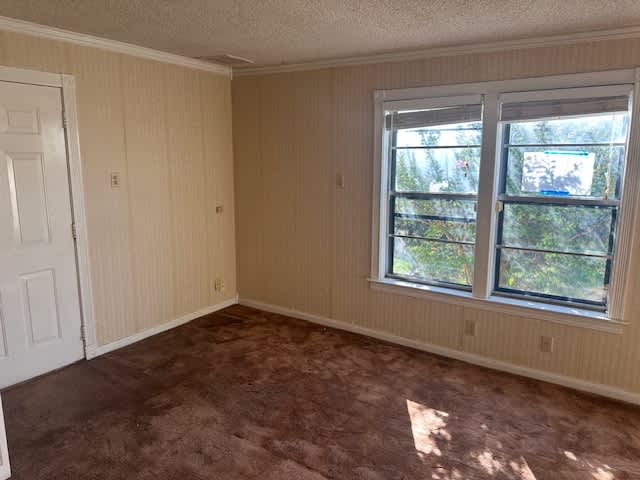 808 Flamingo Rd photo