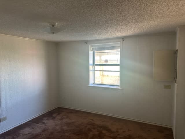 808 Flamingo Rd photo