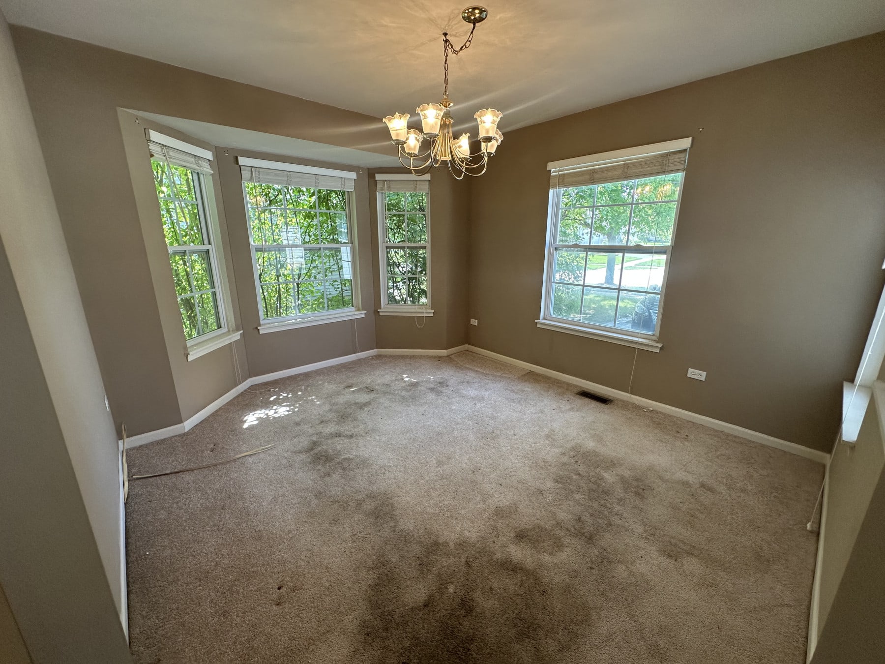 444 Badger Lane photo