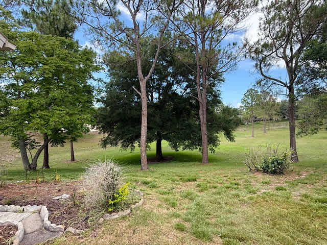 2232 Springmeadow Dr photo