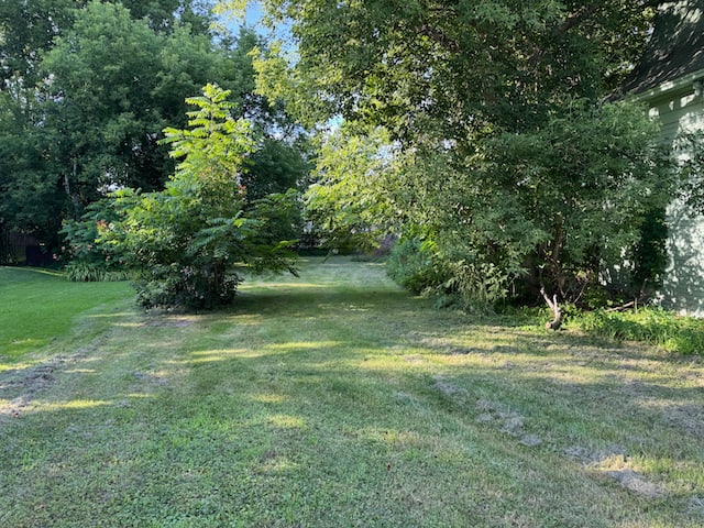 2458 Us 11 photo