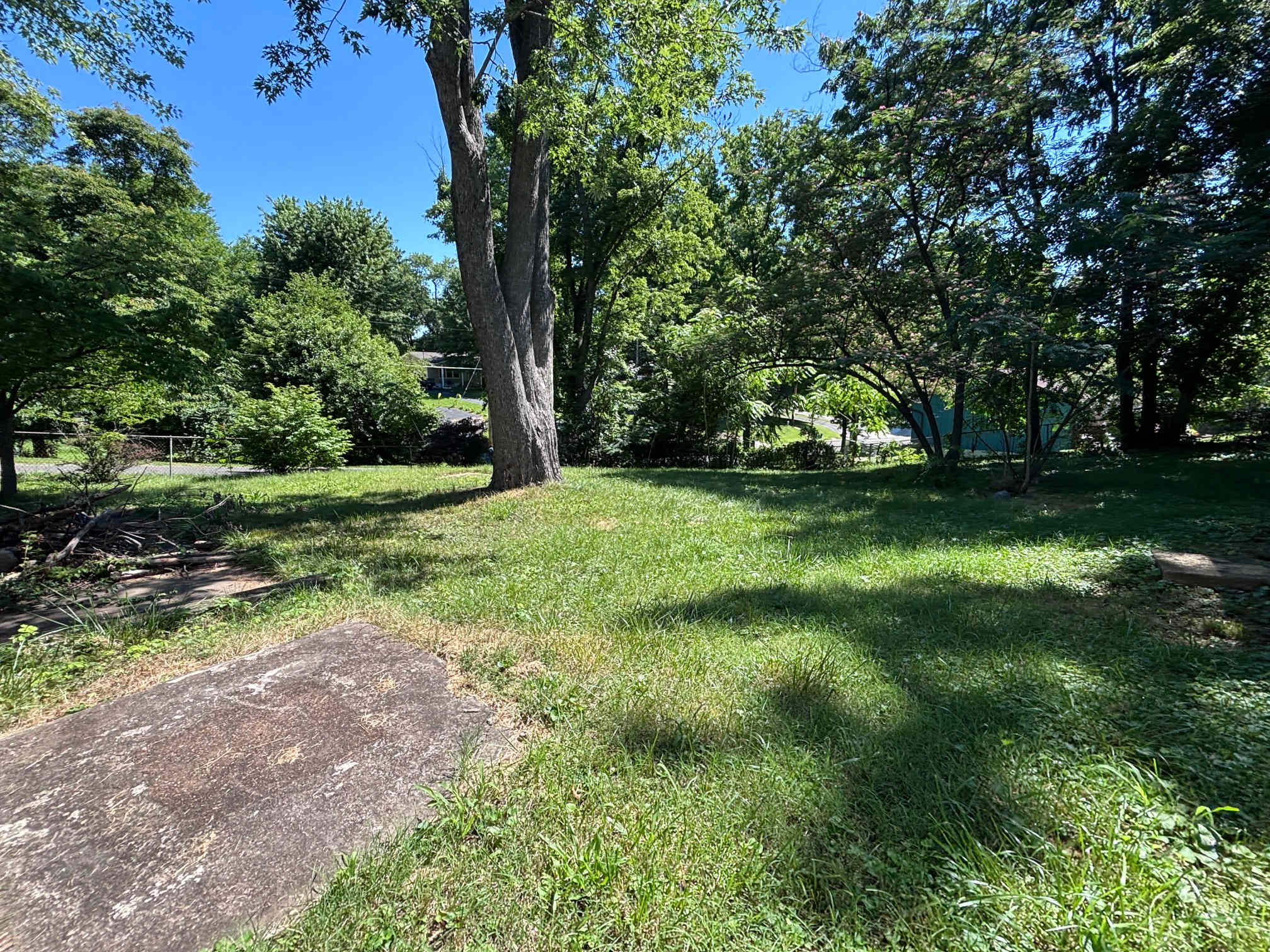 1232 Olive St photo