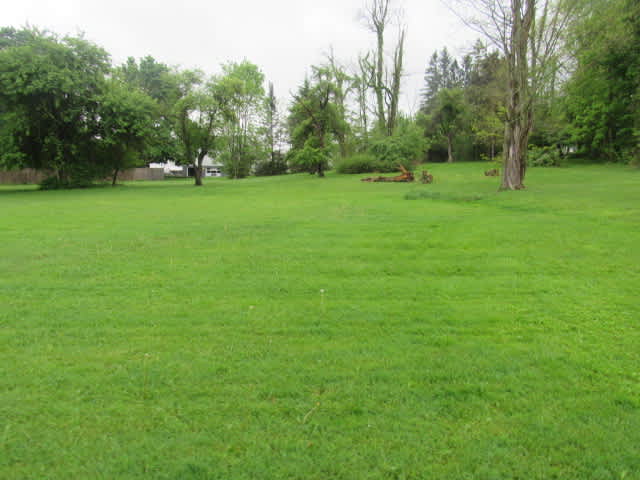2060 Oakridge Dr photo