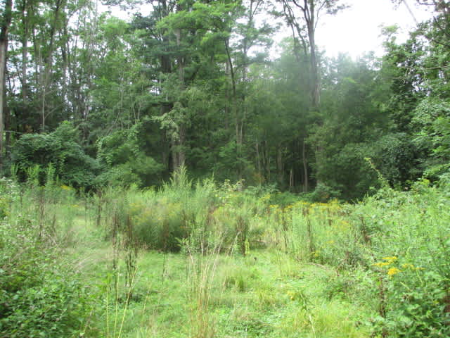 481 Crocker Hill Rd photo