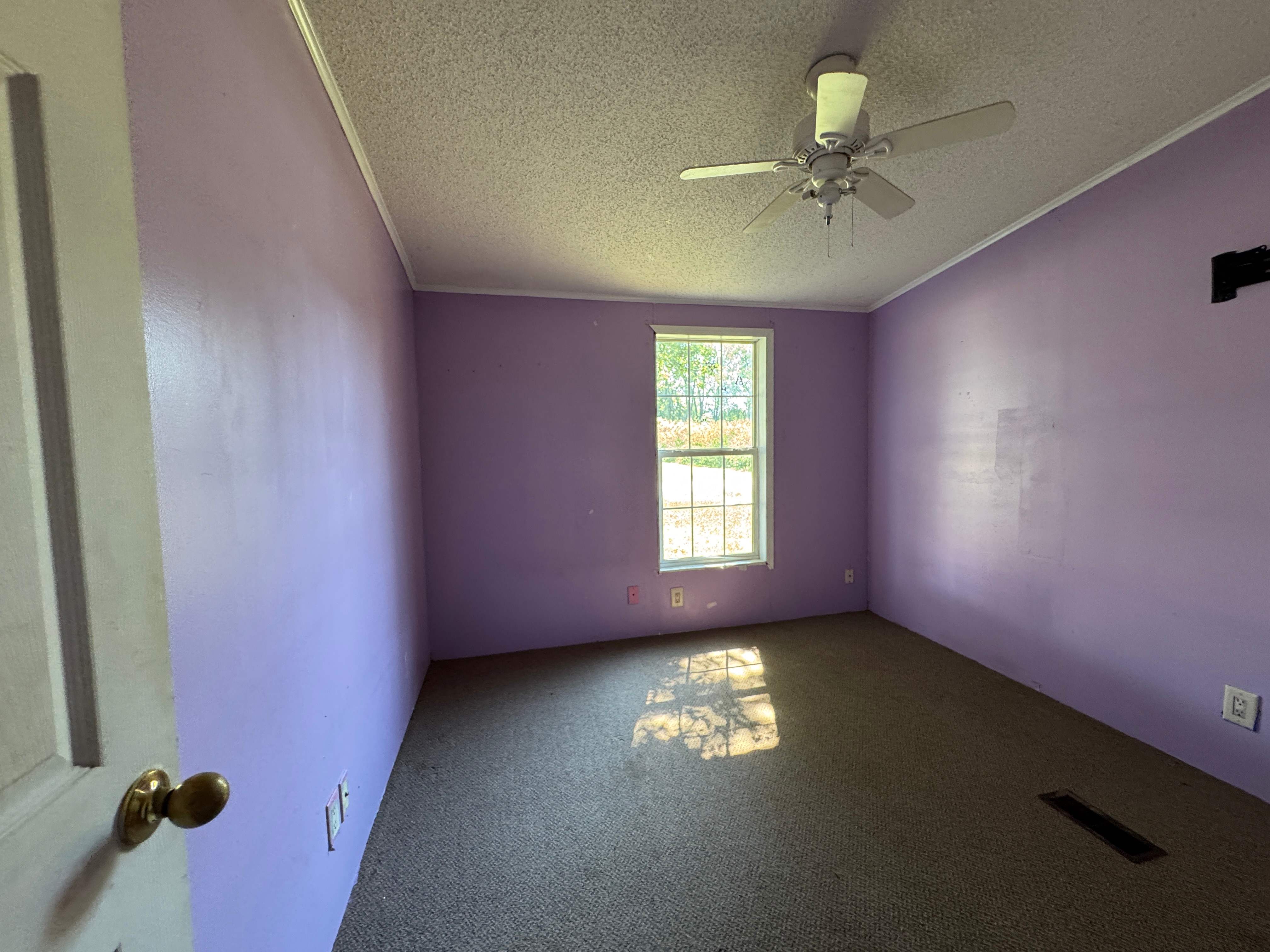 127 Walburn Ave photo
