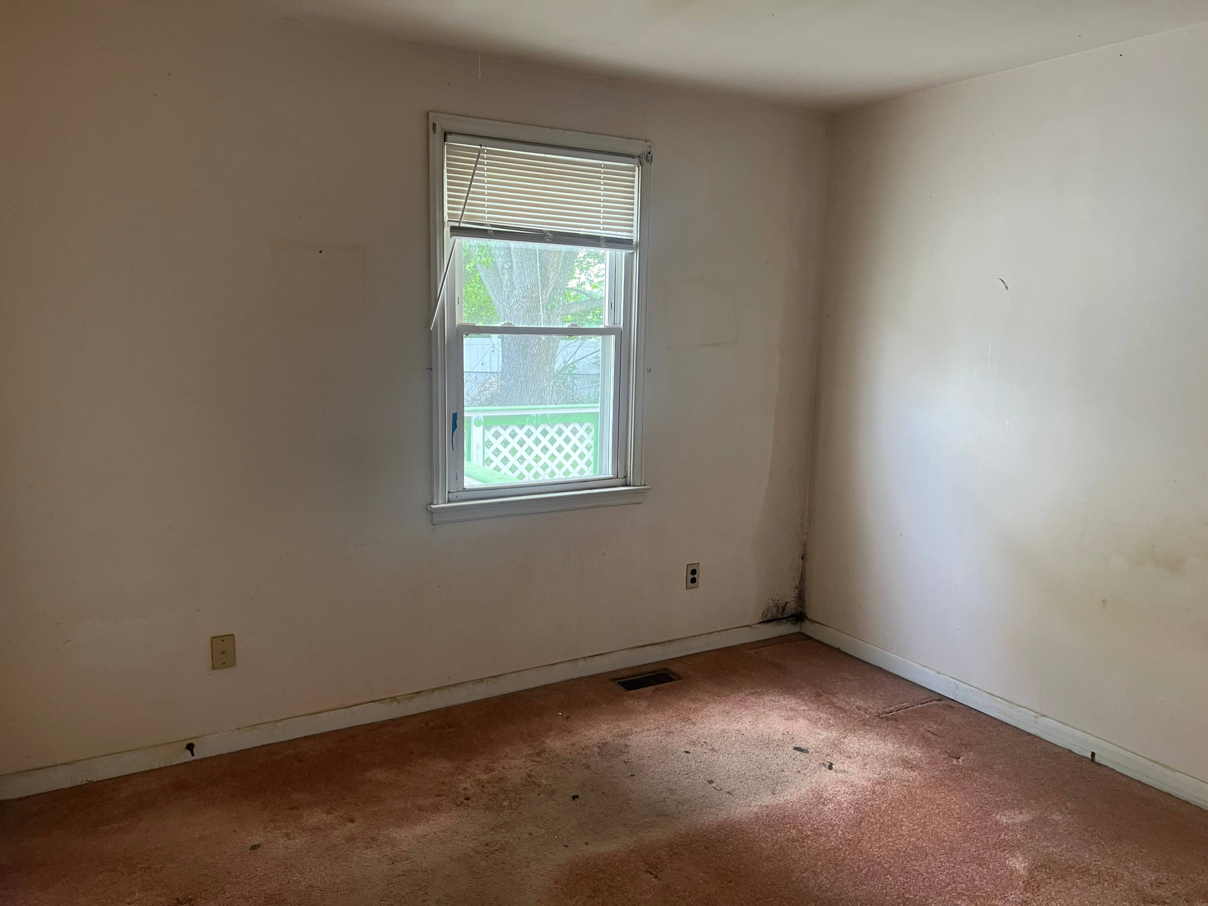 66 Dixon Ave photo