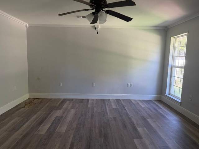 10655 County Road 499 photo