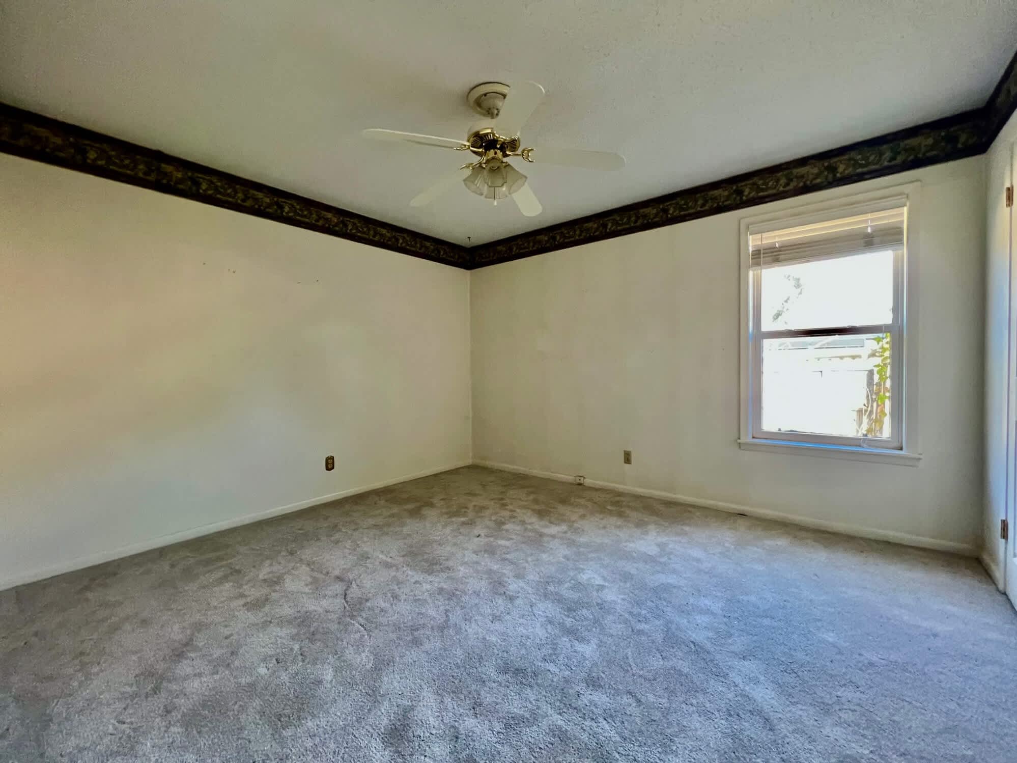 1501 Springdale St photo