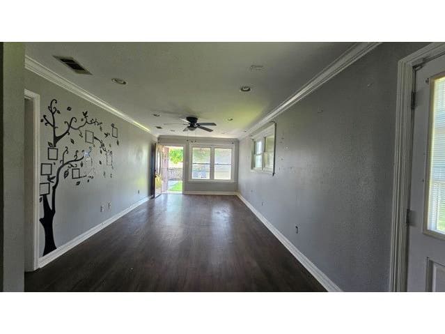 4116 Jumonville St photo