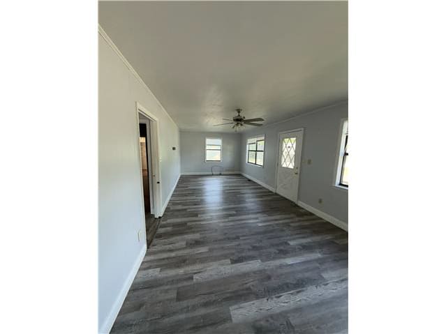 161 Elm Street photo