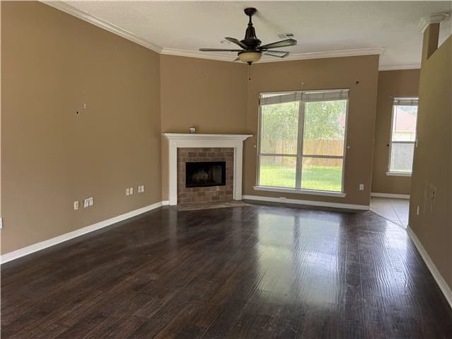 127 Anna St photo