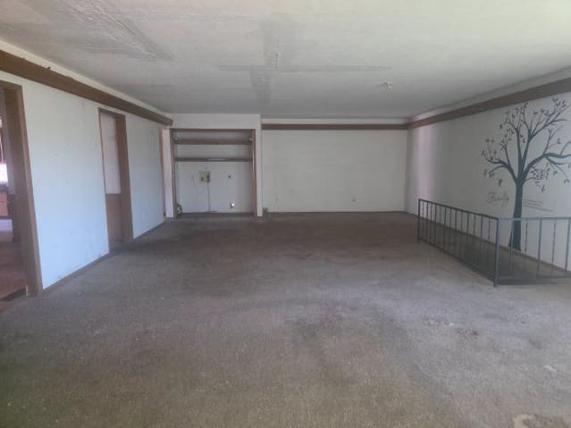 229 Randall Dr photo