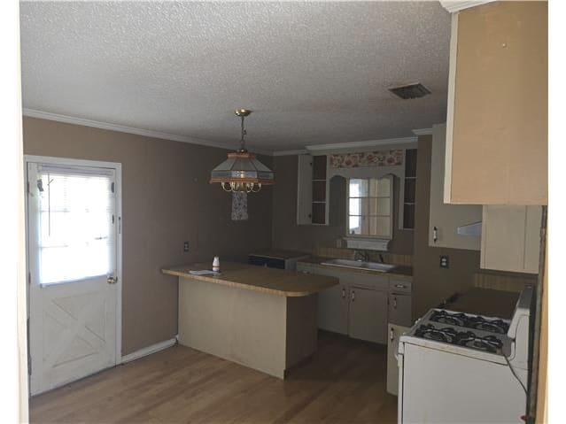406 Palmer Cir photo