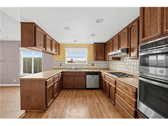 6601 Filaree Way photo