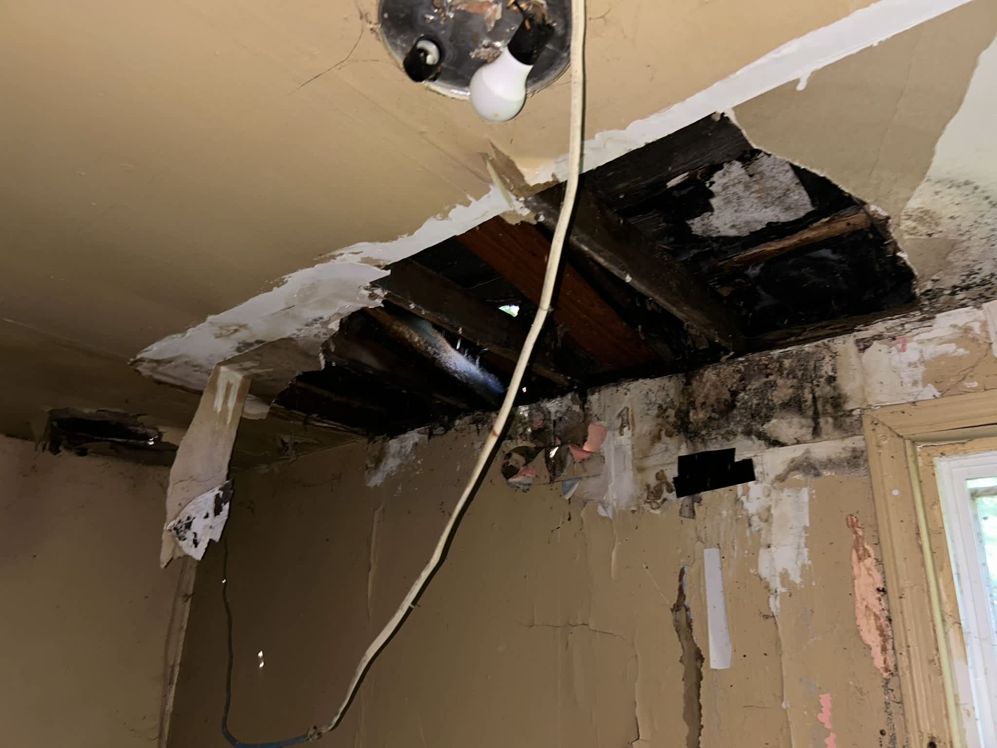 11568 S Lafayette Ave photo