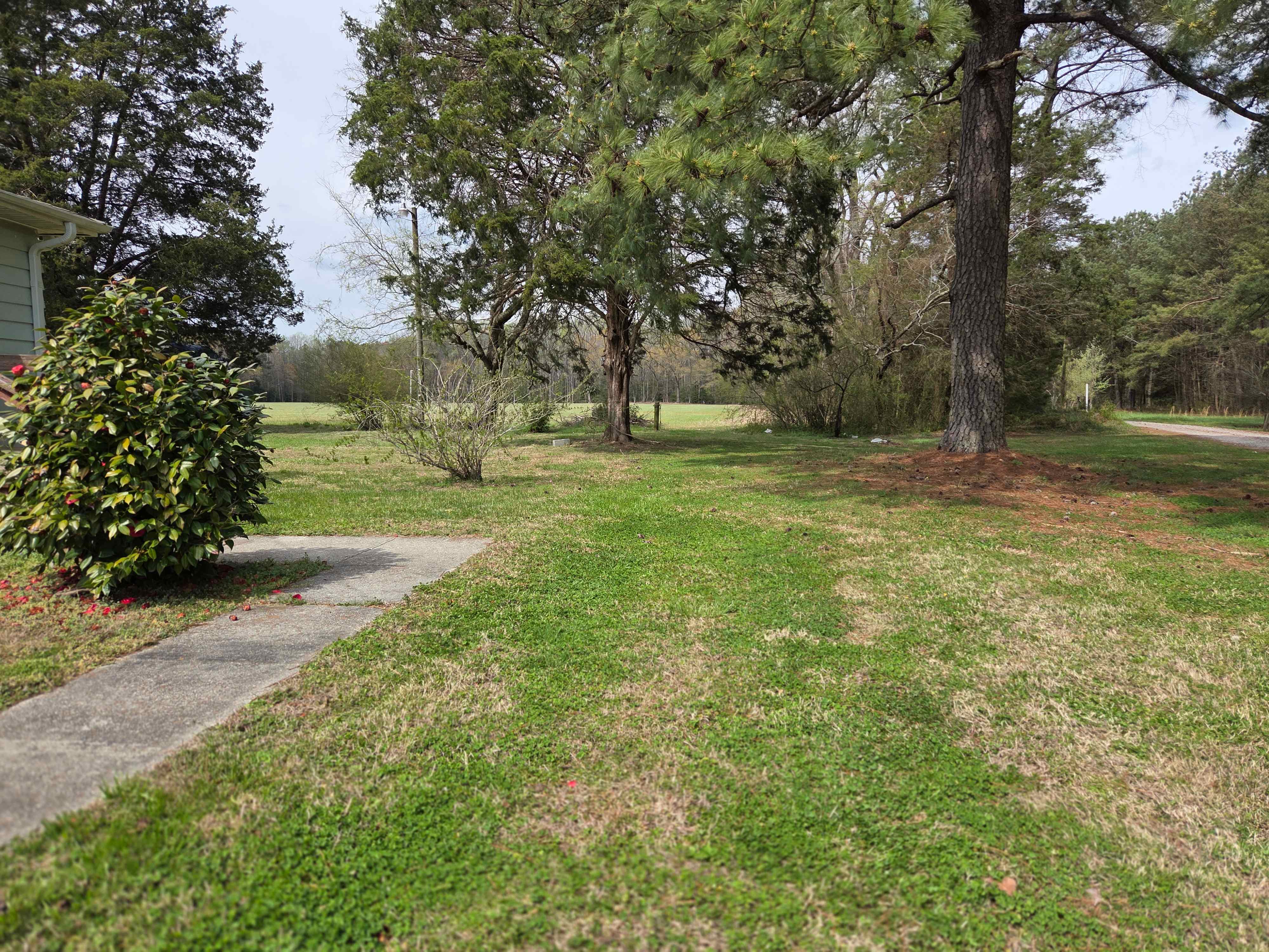 14035 Foursquare Rd photo