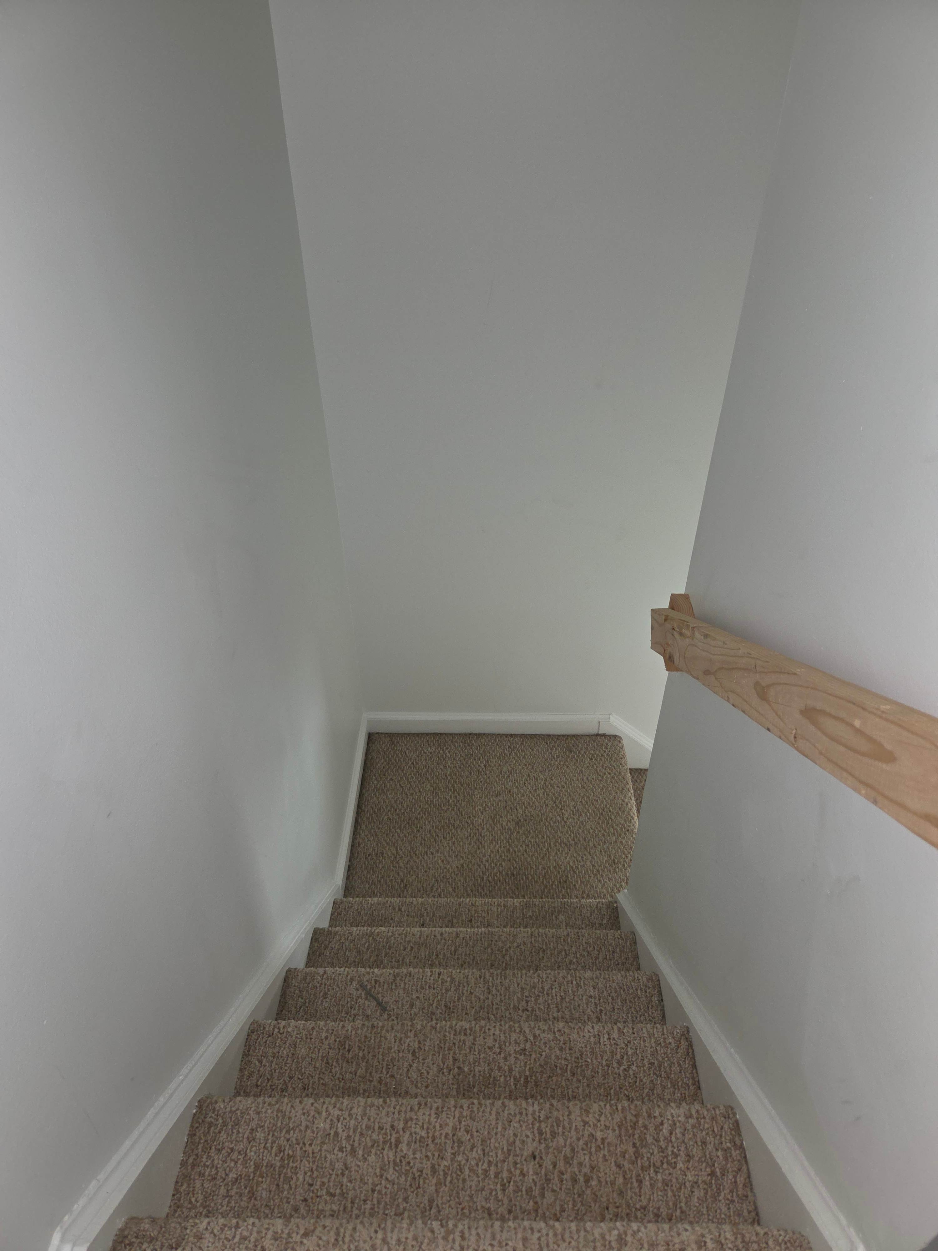 101 Hampstead Ct photo