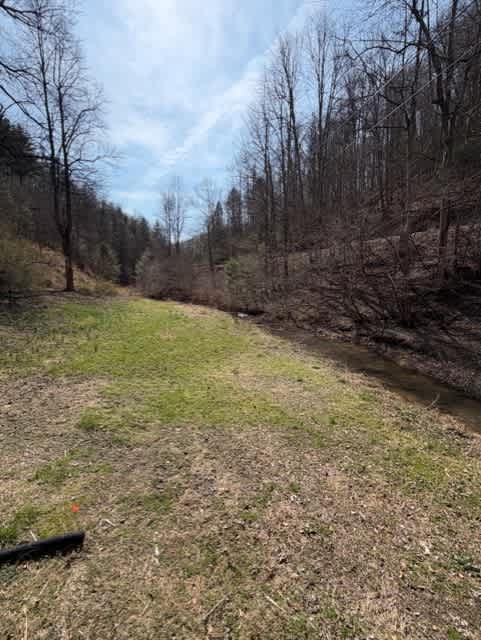 4434 Honey Branch Rd photo