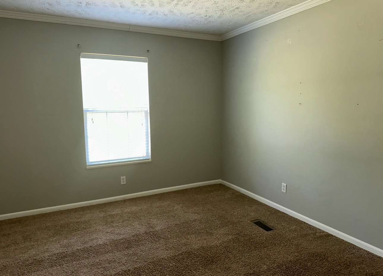 2410 Annwood Ct photo