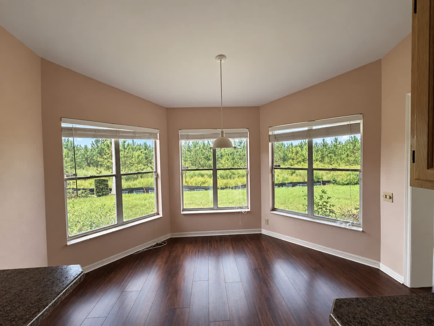 8417 Danbury Ln photo