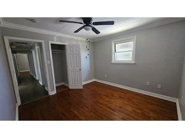4116 Jumonville St photo