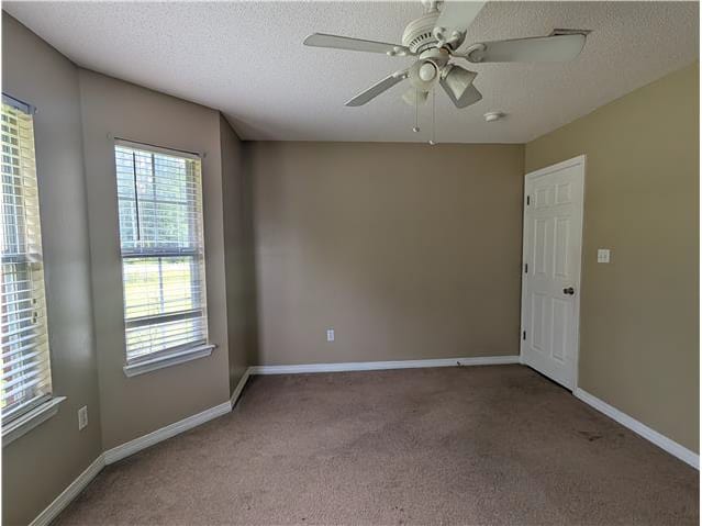 10356 Shady Pine Dr photo