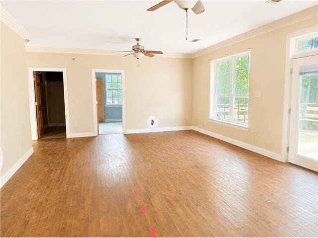 501 Felicity St photo