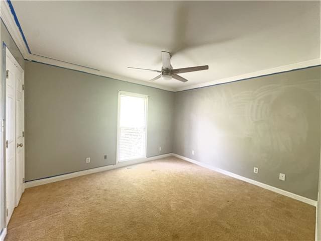 199 Story Ln photo