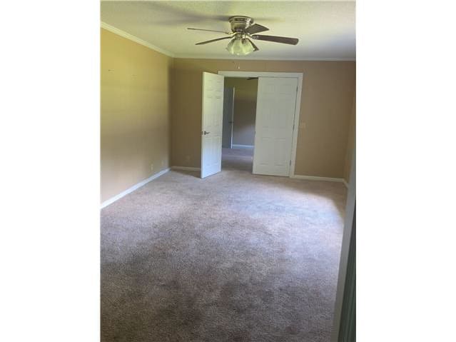 162 Carlton Ave photo