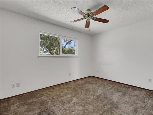 310 Bird St photo